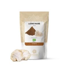 Cogumelo Lions Mane Em Pó Bio