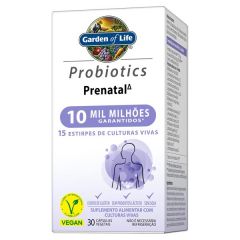 Culturas Vivas 10 Mil Milhões Prenatal (1)