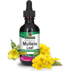 Mullein (Verbasco Folha) 30Ml