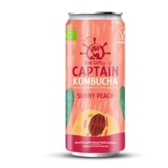Kombucha Bio Bebida Chá Pêssego
