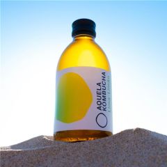 Kombucha Lima Limão Garrafa