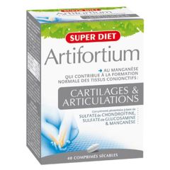 Artifortium