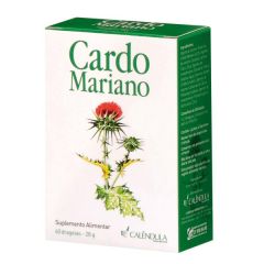 Cardo Mariano Drageias