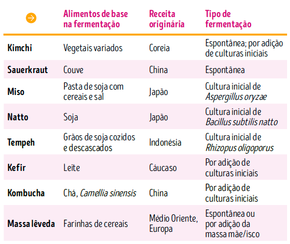 alimentos fermentados