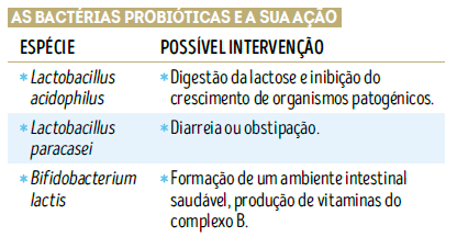 bactérias probióticas