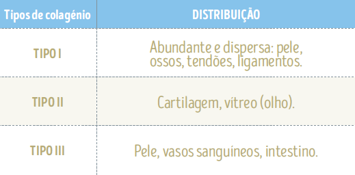 tipos de colagenio