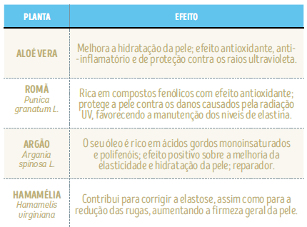 cosméticos-planta-efeitos