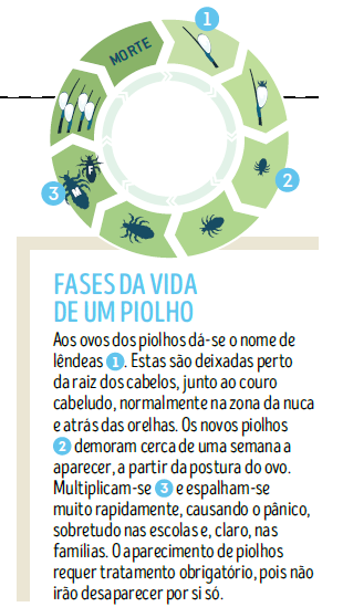 fases de vida de um piolho