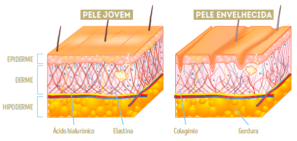 pele-jovem-velha-elastecidade-diferenças