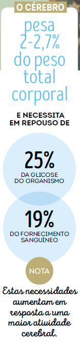 fun-fact-cerebro