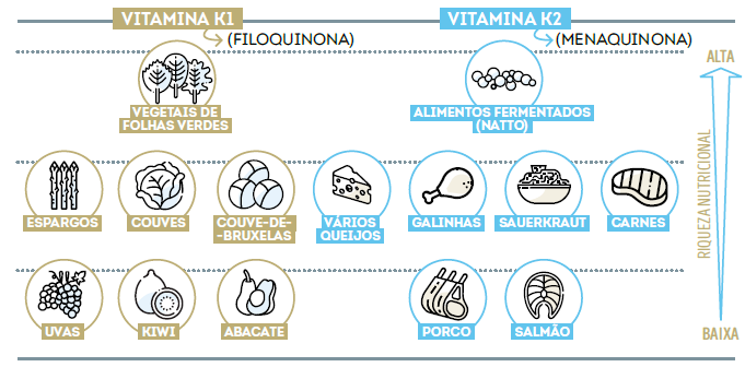 vitamina k1 vs k2 - diferenças